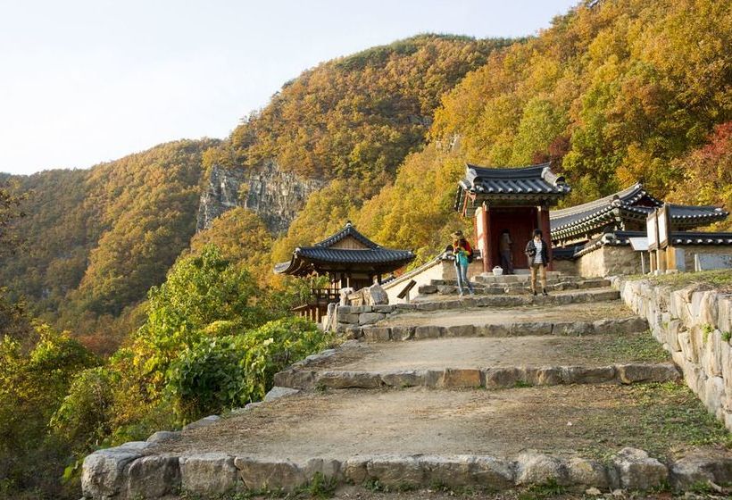 بنسيون Nongam Jongtaek