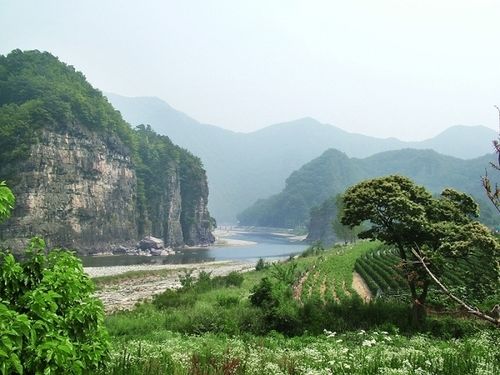 بنسيون Nongam Jongtaek