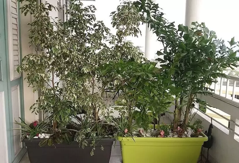 تختخواب و صبحانه Vi Get' S