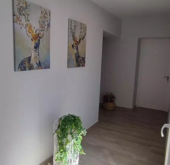 簡易ホテル Posada De La Plata