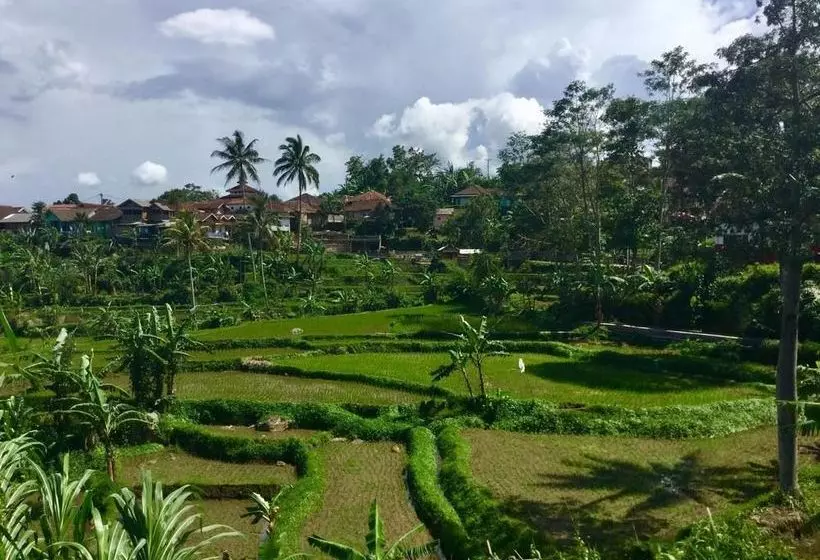 Hostel Cianjur