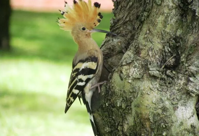 Hotelli Villa La Morina Agriturismo