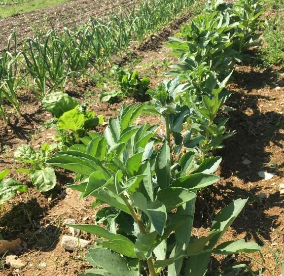 فندق I Casali Del Trebbiolo