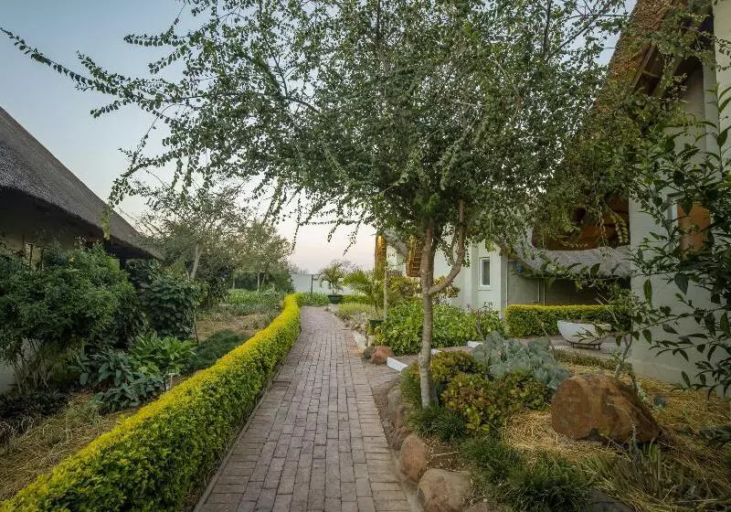هتل Shearwater S Explorers Village