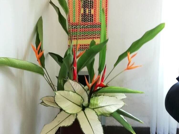 پانسیون Villa Ekabo