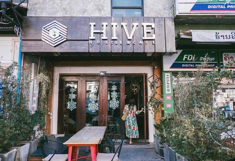 Hive Hostel  Adults Only
