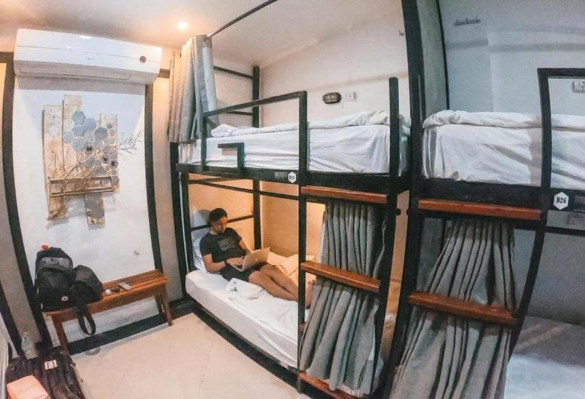 Hive Hostel  Adults Only