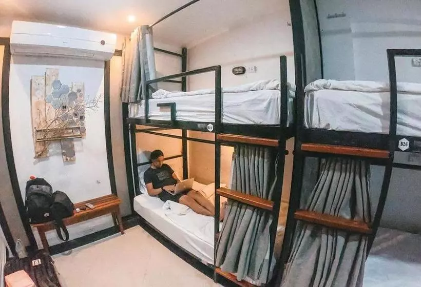 Hive Hostel  Adults Only