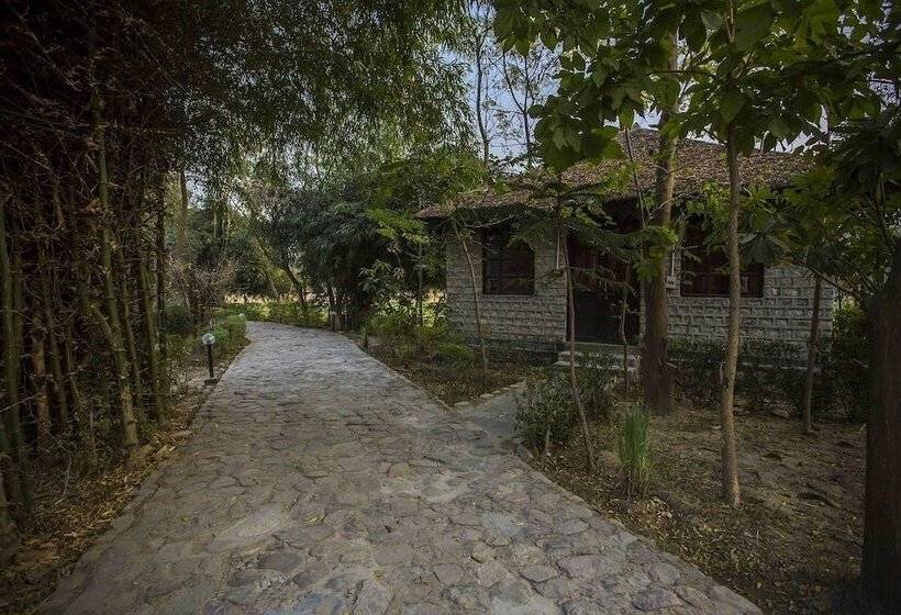 Ashokas Tiger Trail Resort