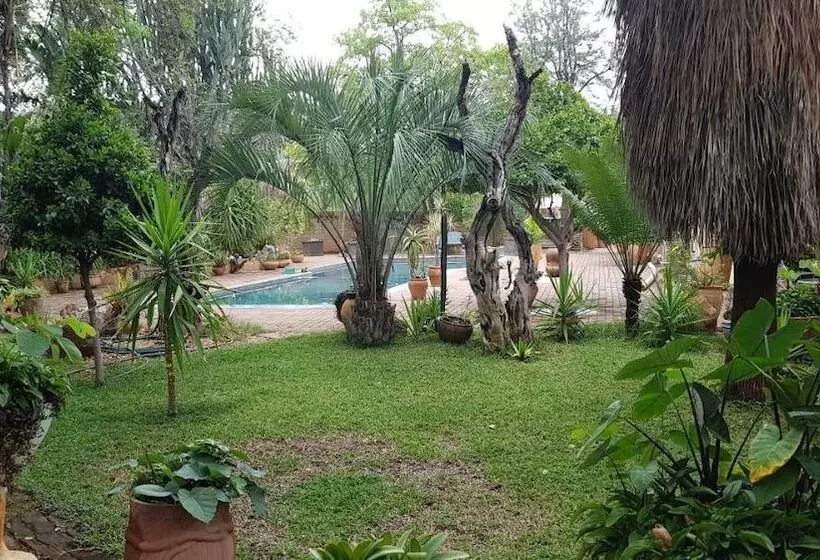 تختخواب و صبحانه Green House Bnb    Swiss German