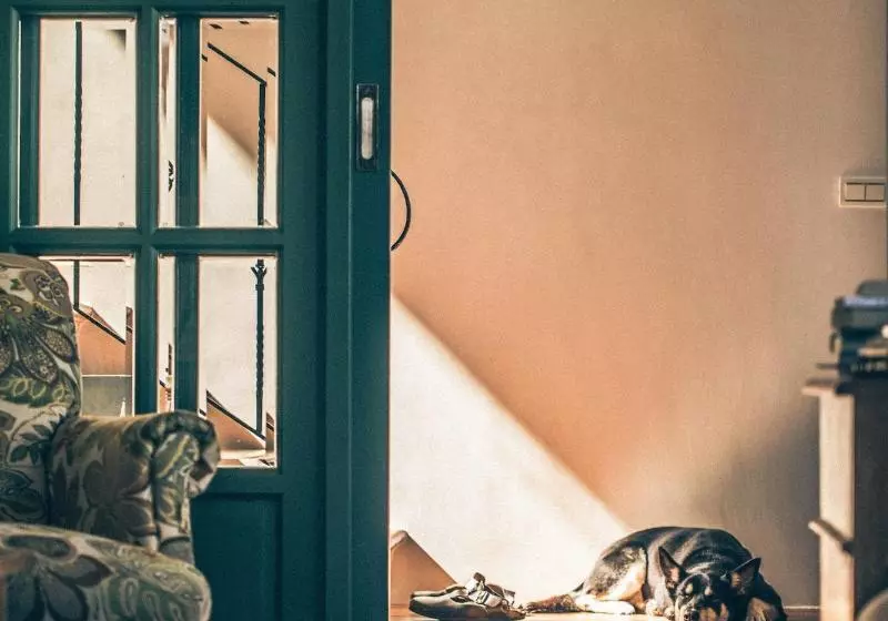 تختخواب و صبحانه Sunday Home