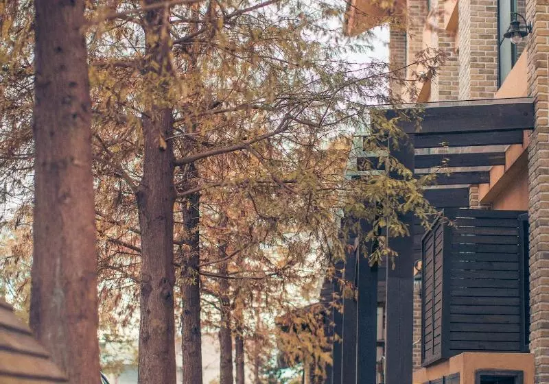 تختخواب و صبحانه Sunday Home