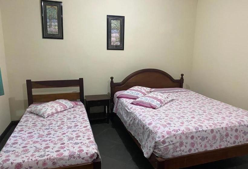 Отель Arca Pousada