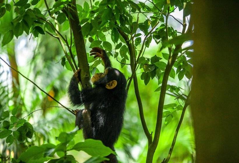 هتل Kafolo Lagoon