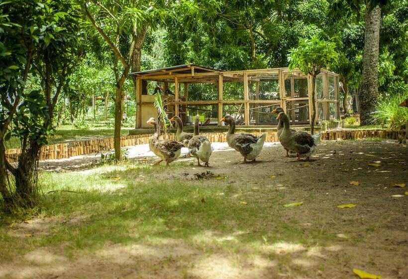 هتل Kafolo Lagoon