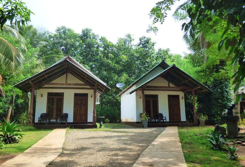 Panzió Green View Safari Resort