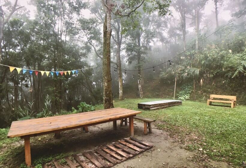 تختخواب و صبحانه Reindeer Miaoli Green Wave