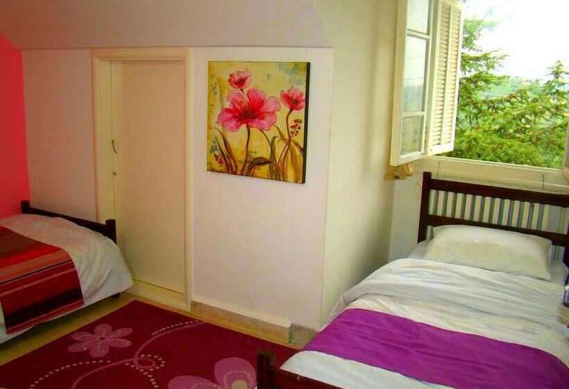 Hostel Auberge Beity