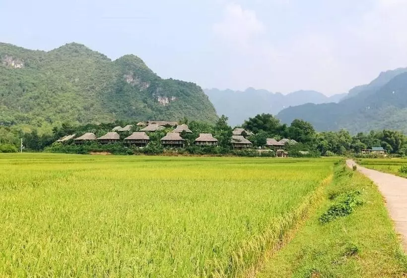 Zostay Homestay   Adults Only   Hostel