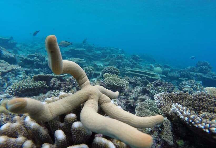 پانسیون Athiri Inn