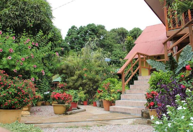 پانسیون Belle Des Iles