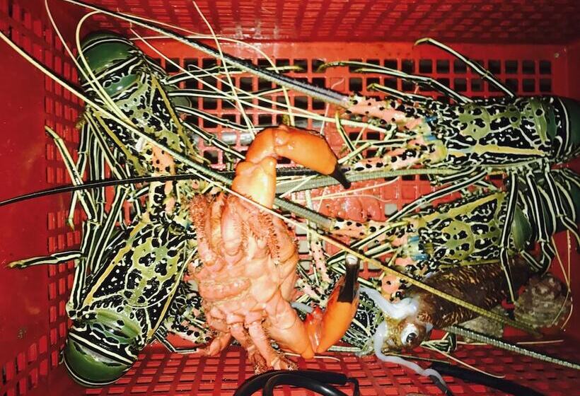 Pensió Noovilu Suites Maldives