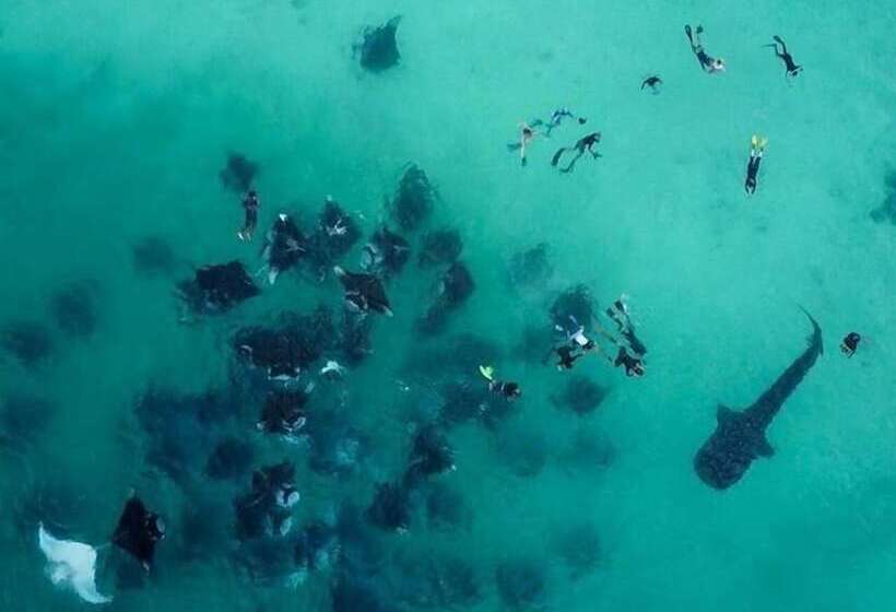 پانسیون Summer Shade Maldives