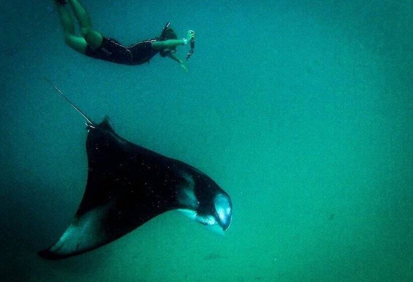 پانسیون Summer Shade Maldives