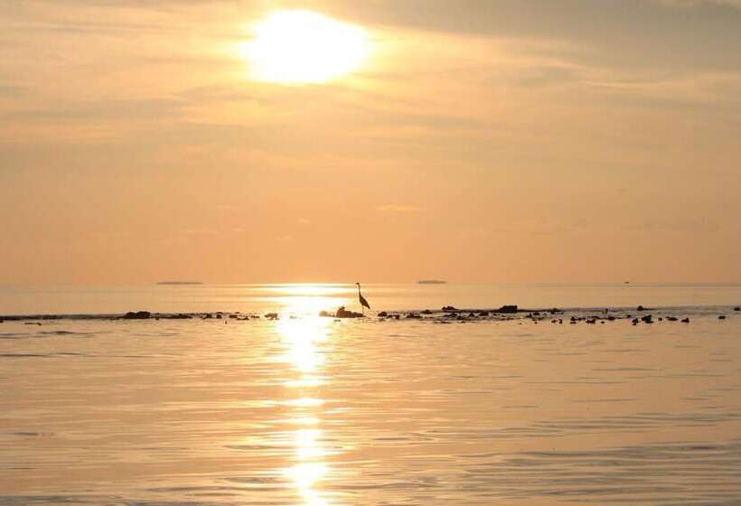 پانسیون Summer Shade Maldives