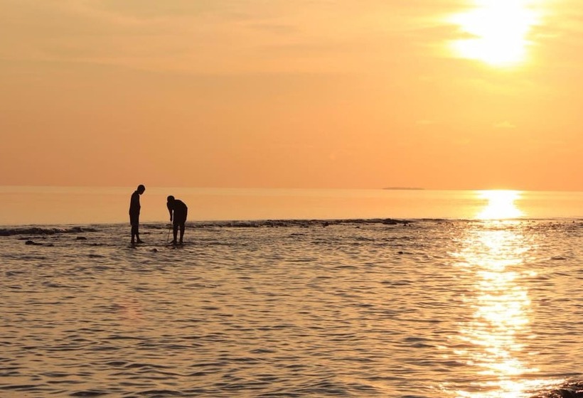 پانسیون Summer Shade Maldives