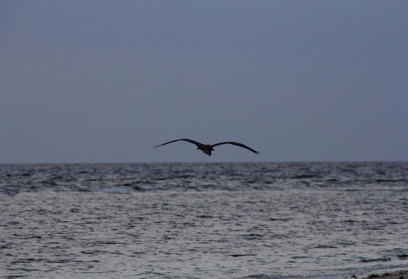 پانسیون Summer Shade Maldives