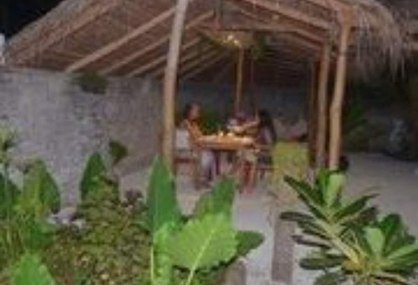 پانسیون Summer Shade Maldives