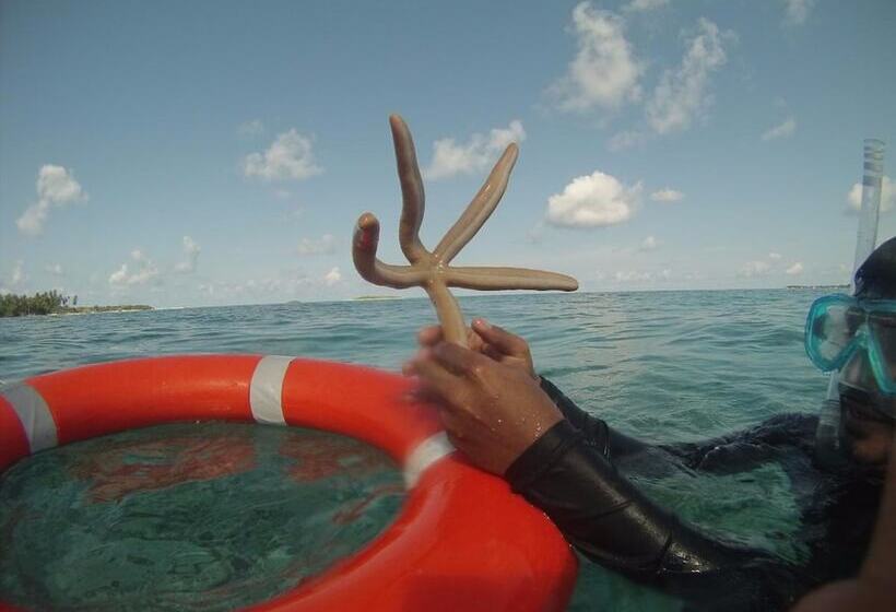 پانسیون Summer Shade Maldives