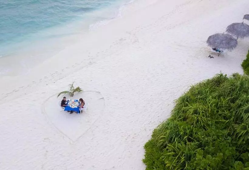 پانسیون Palm Oasis At Ukulhas
