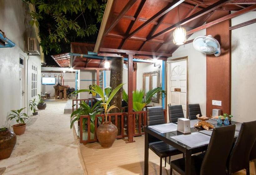 پانسیون Palm Oasis At Ukulhas