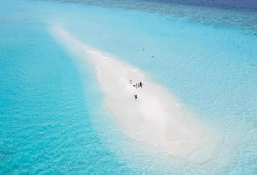 پانسیون Palm Oasis At Ukulhas
