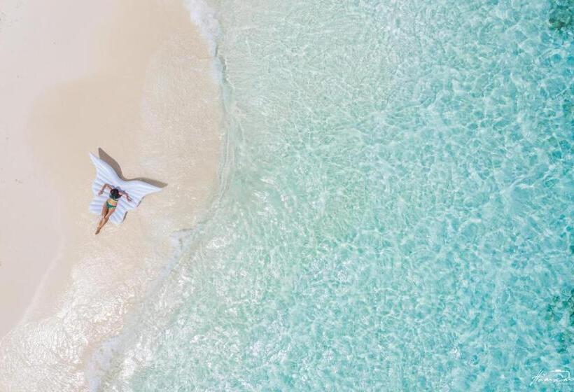 پانسیون Palm Oasis At Ukulhas