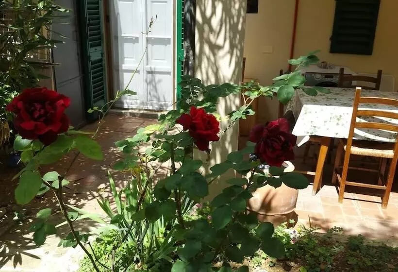 Majatalo Villa Nei Fiori