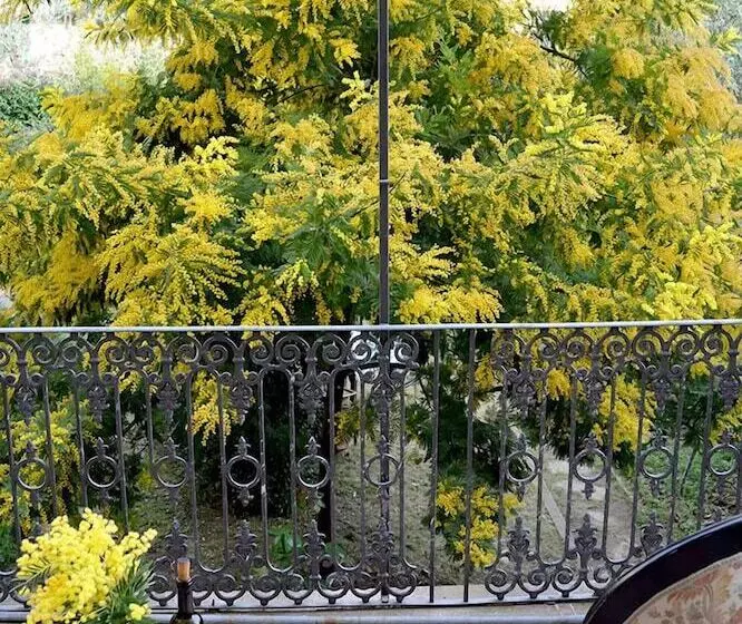 Majatalo Villa Nei Fiori