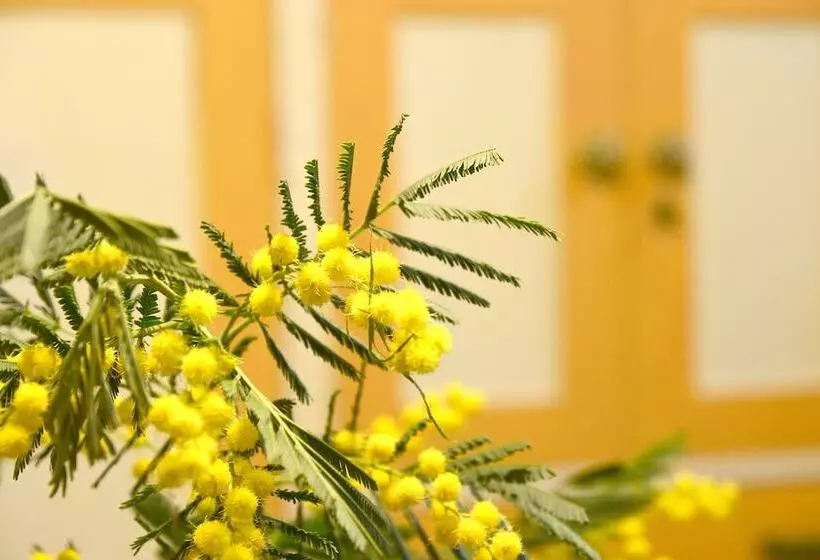 Majatalo Villa Nei Fiori