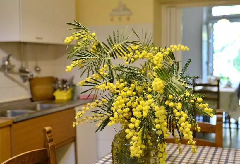Majatalo Villa Nei Fiori