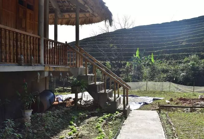 Thong Nguyen Homestay   Hostel