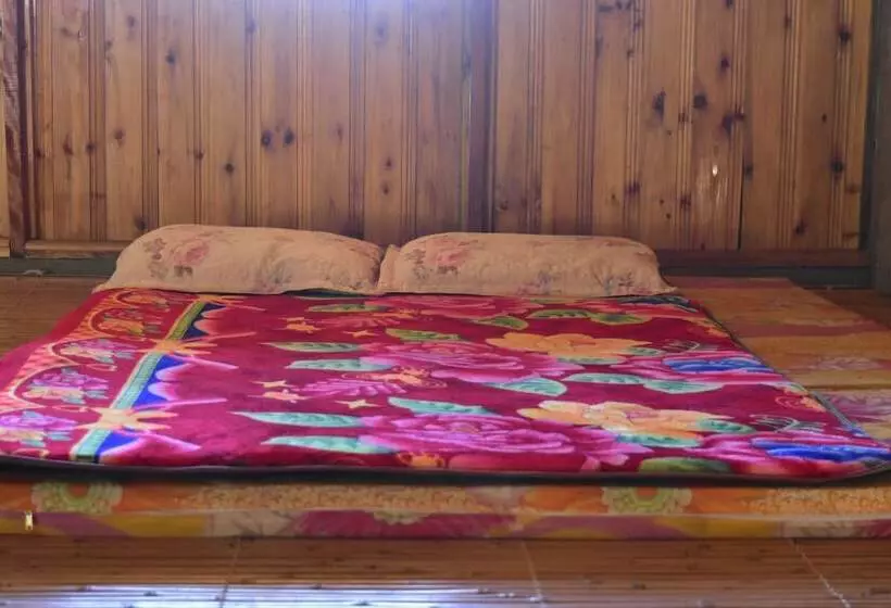 Thong Nguyen Homestay   Hostel