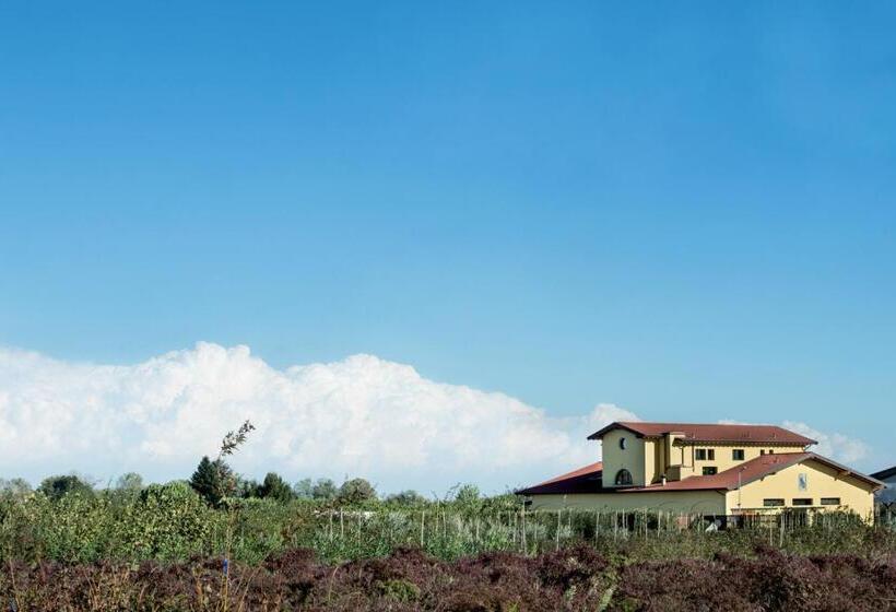 Agriturismo Camisi Qh