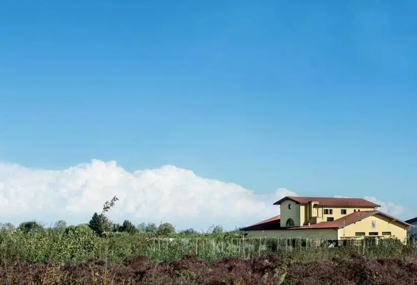 Agriturismo Camisi Qh