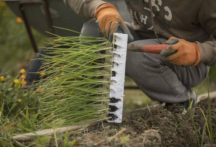 ホテル Agriturismo Ponterosa