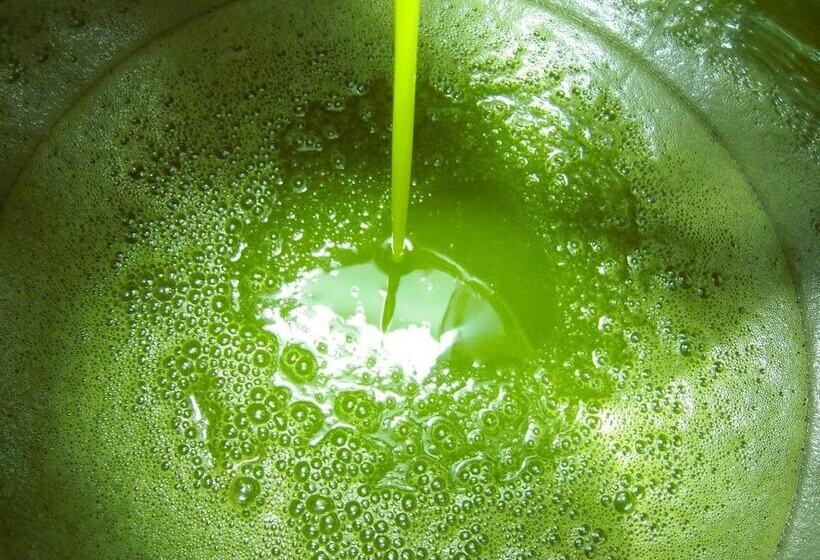 ホテル Agriturismo Ponterosa