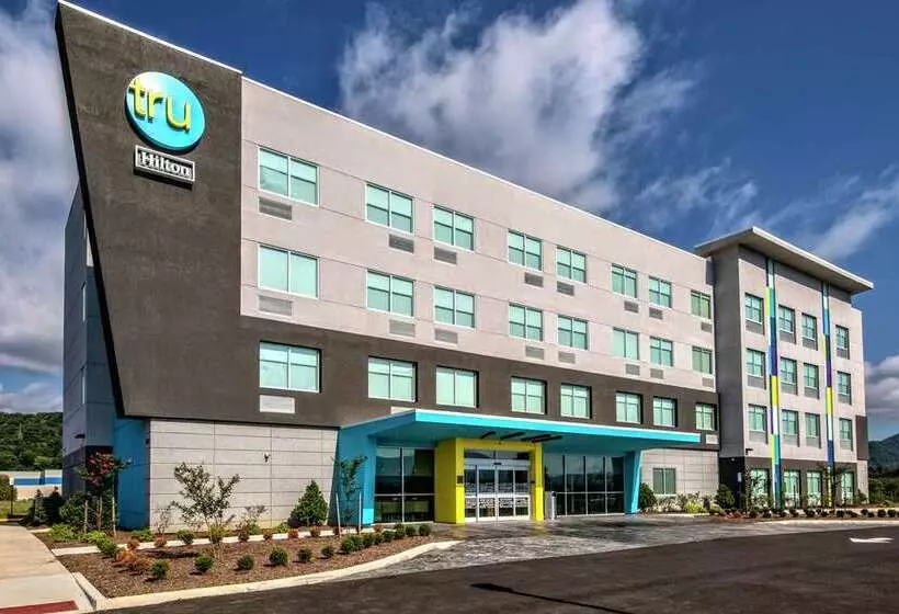 ホテル Tru By Hilton Roanoke Hollins