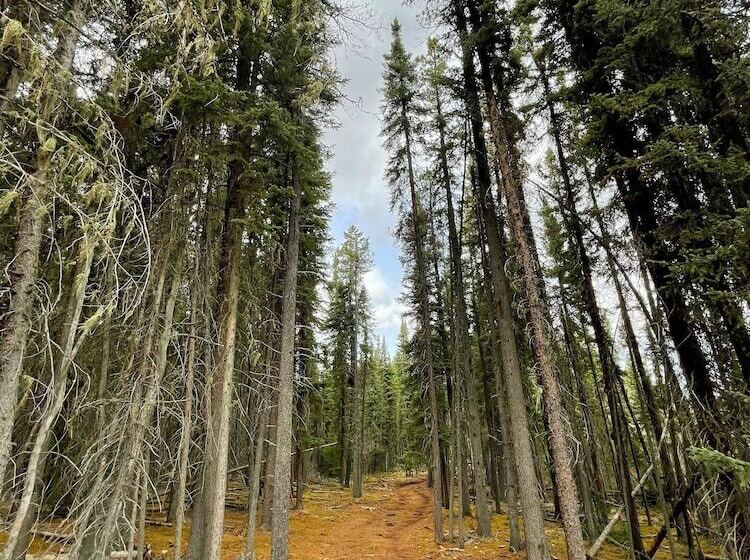 モーテル Schott’s Lake Conference & Resort