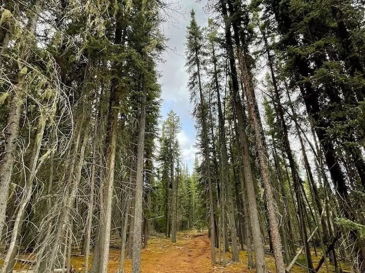 Motelli Schott’s Lake Conference & Resort